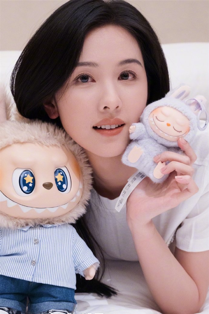 甄嬛传 封面